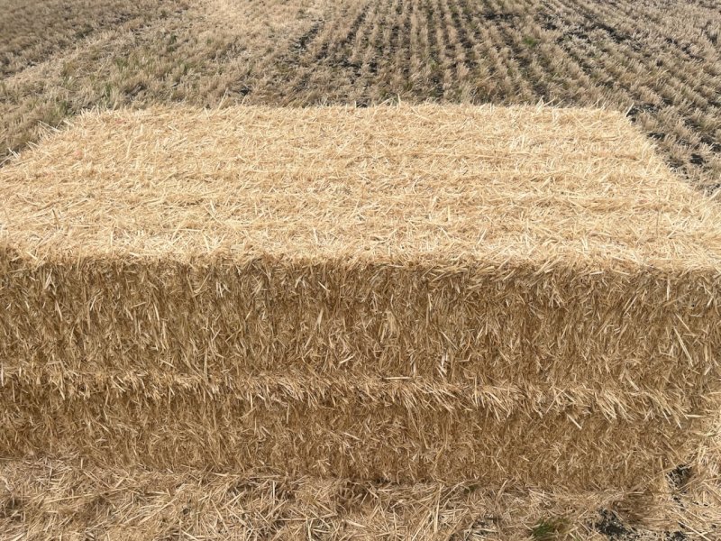200mt Wheaten Straw 500kg 8x4x3 Bales