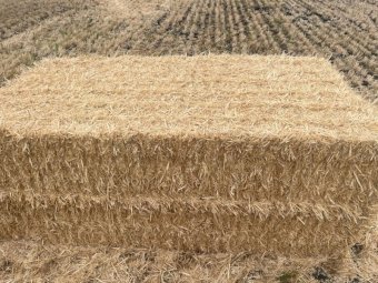 200mt Wheaten Straw 500kg 8x4x3 Bales
