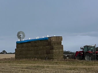 375mt Vetch Hay 650-700kg 8x4x3 Bales