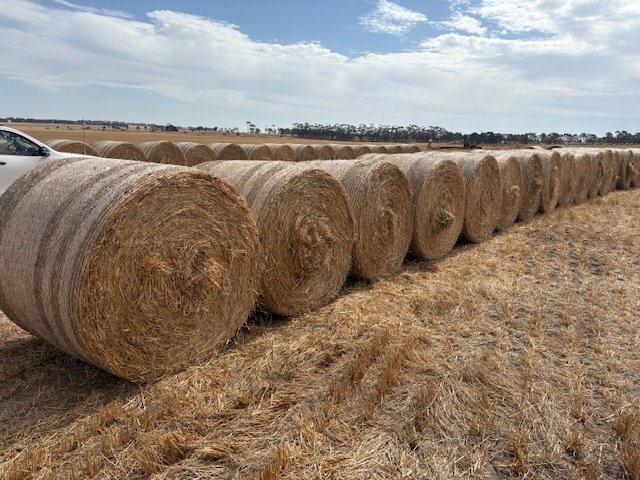 500 x Oaten Hay 450kg 5x4 Rolls