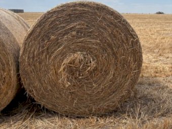 500 x Oaten Hay 450kg 5x4 Rolls