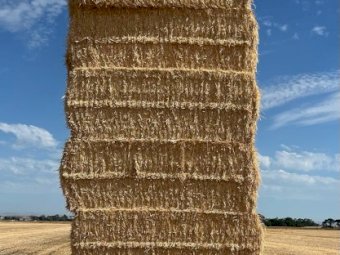 200mt Wheaten Straw 500kg 8x4x3 Bales