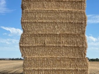 200mt Wheaten Straw 500kg 8x4x3 Bales