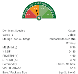Clean Bright Oaten Straw 8x4x3 Bales
