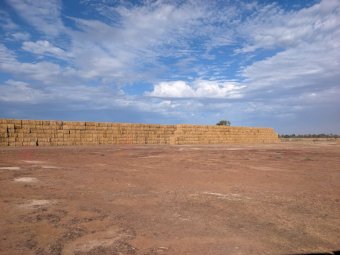 Clean Bright Oaten Straw 8x4x3 Bales