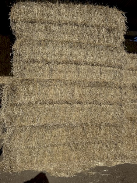 Ryegrass and Clover Hay