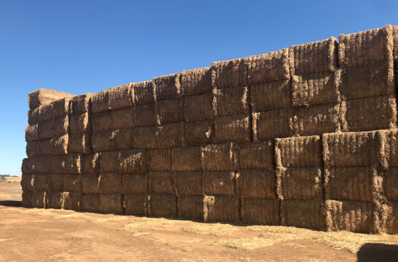 120mt Vetch Hay 8x4x3 Bales