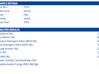 120mt Vetch Hay 8x4x3 Bales