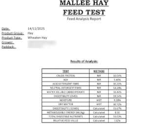 100mt Wheaten Hay 8x4x3 Bales
