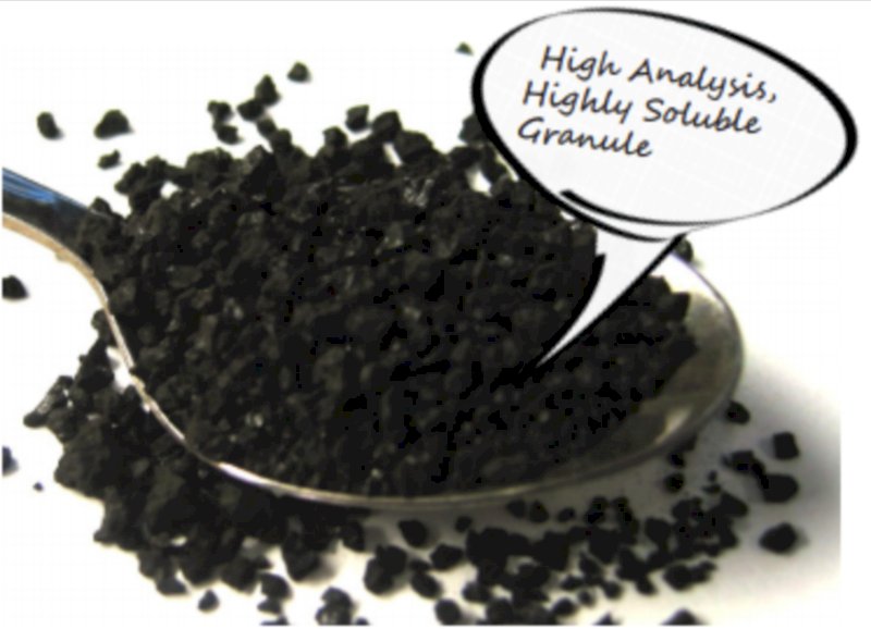 BioMax Soluble Humate Granule