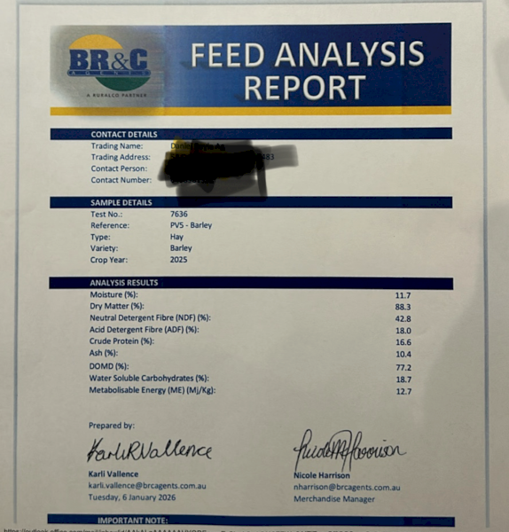 Barley Hay 8x4x3 Bales