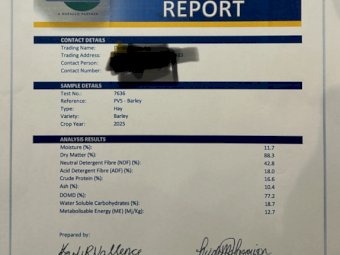 Barley Hay 8xx4x3 Bales