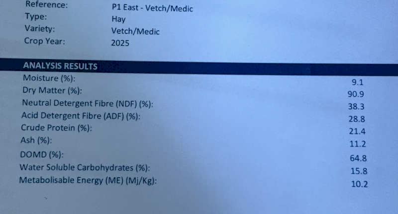 Vetch and Medic Hay 8x4x3 Bales