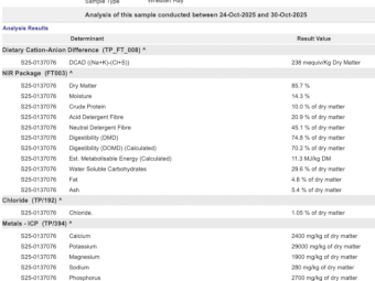 200mt Wheaten Hay 700kg 8x4x3 Bales