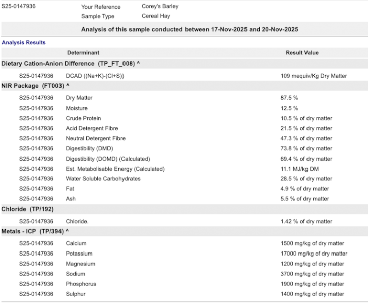 200mt Barley Hay 700kg 8x4x3 Bales