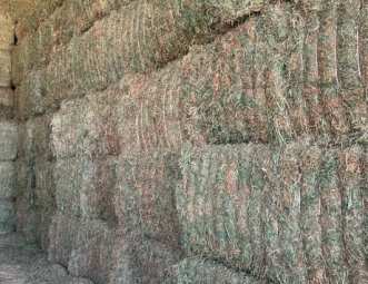 200mt Vetch Hay 720kg 8x4x3 Bales