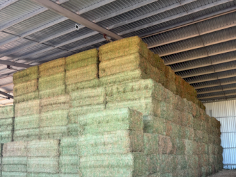 200mt Vetch Hay 720kg 8x4x3 Bales