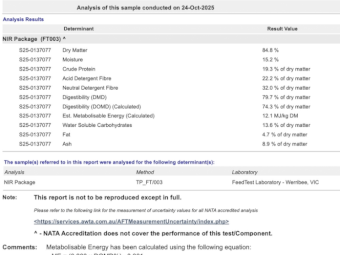 200mt Vetch Hay 720kg 8x4x3 Bales