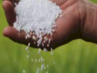 Urea ex Geelong