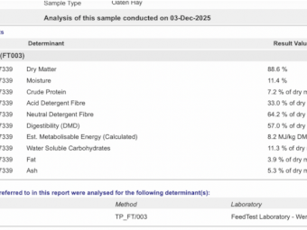 1000mt Oaten Hay 8x4x3 Bales