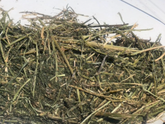 180mt Vetch Hay 610kg 8x4x3 Bales