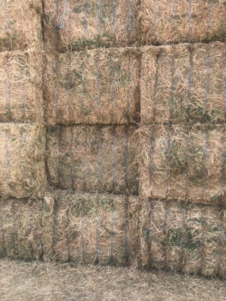 500mt Vetch Hay 660kg 8x4x3 Bales