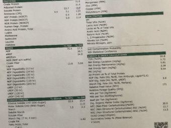 500mt Vetch Hay 660kg 8x4x3 Bales