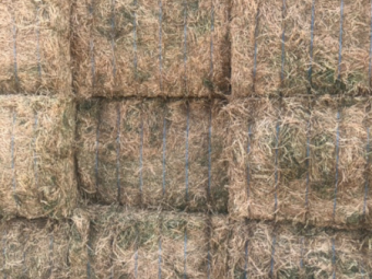500mt Vetch Hay 660kg 8x4x3 Bales