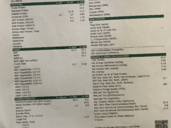 600mt Vetch Hay 660kg 8x4x3 Bales