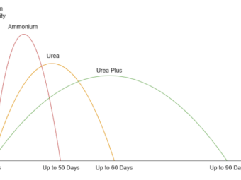 Urea Plus Compound Fertiliser Bulk Bags Ex Melbourne