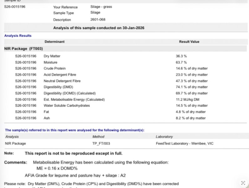 Rye Clover Mix Silage
