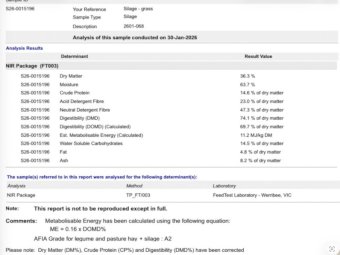 Rye Clover Mix Silage