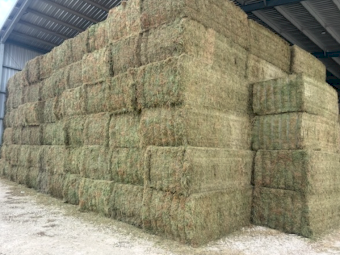 120mt Vetch Hay 650kg 8x4x3 Bales