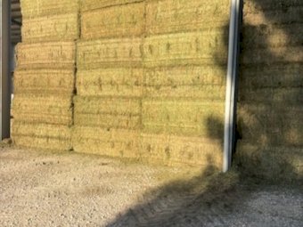 120mt Vetch Hay 650kg 8x4x3 Bales