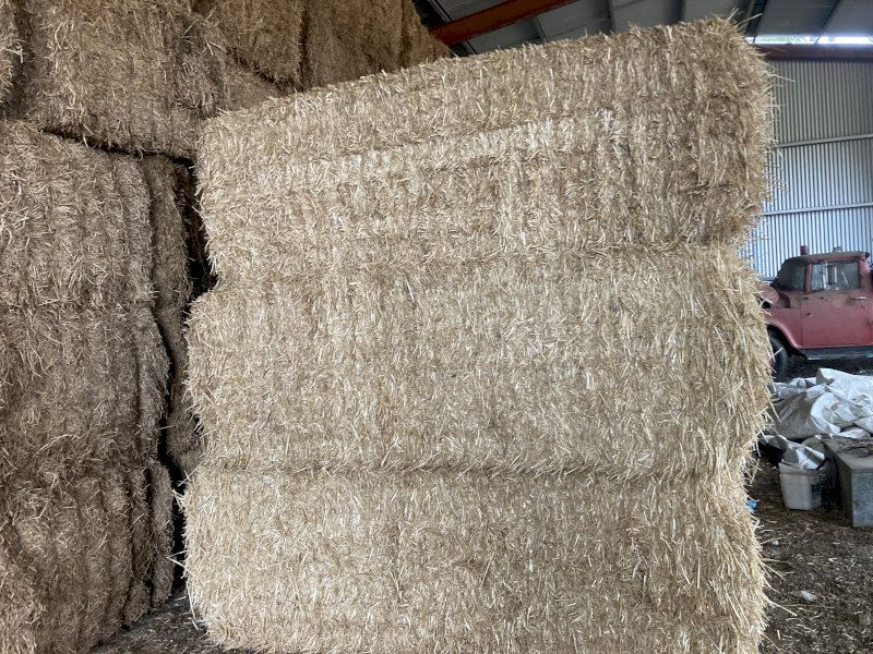 Header Trailed Wheaten Straw