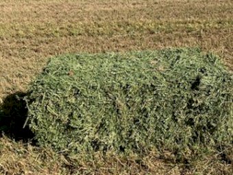 8000 X Lucerne Hay Small Square Bales