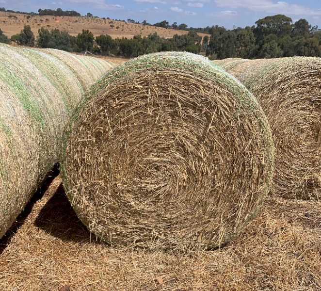 Wheaten and Rye Grass Hay 5x4 Rolls