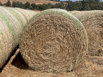 Wheaten and Rye Grass Hay 5x4 Rolls