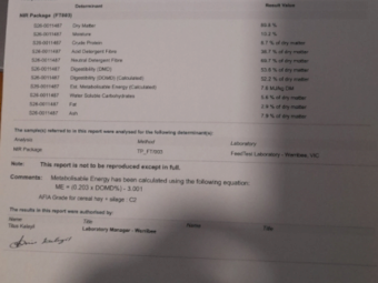 500MT Oaten Hay 8X4X3 Large Square Bales