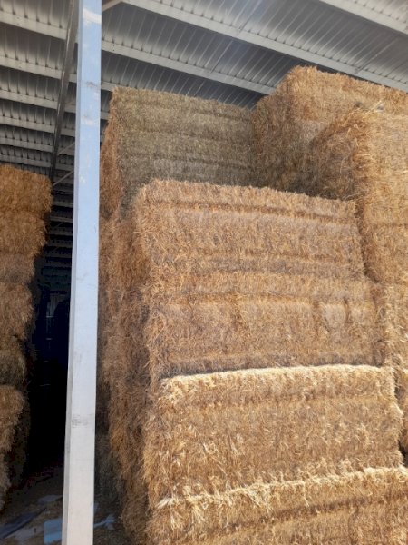 200MT Clover / Rye Hay 8X4X3 Large Square Bales
