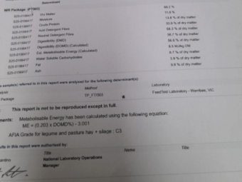 200MT Clover / Rye Hay 8X4X3 Large Square Bales