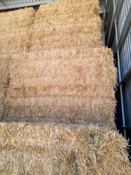 220MT Wheaten Hay 8X4X3 Large Square Bales