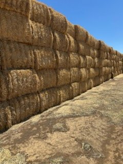 350 X Wheaten Straw 8X4X3 Large Square Bales