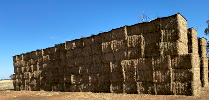 200mt Vetch Hay 620kg 8x4x3 Bales