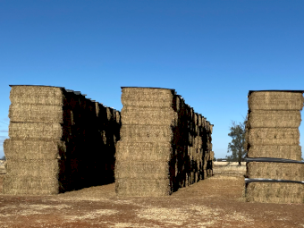200mt Vetch Hay 620kg 8x4x3 Bales