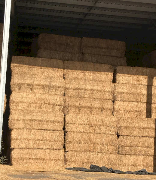 180mt Vetch Hay 8x4x3 Bales
