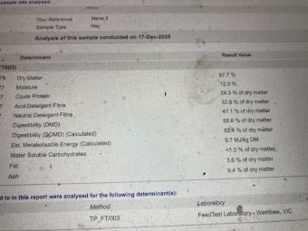 Vetch Hay 8x4x3 Bales