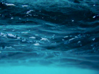 Water License for Sale - New England Fold Belt MD8 Groundwater