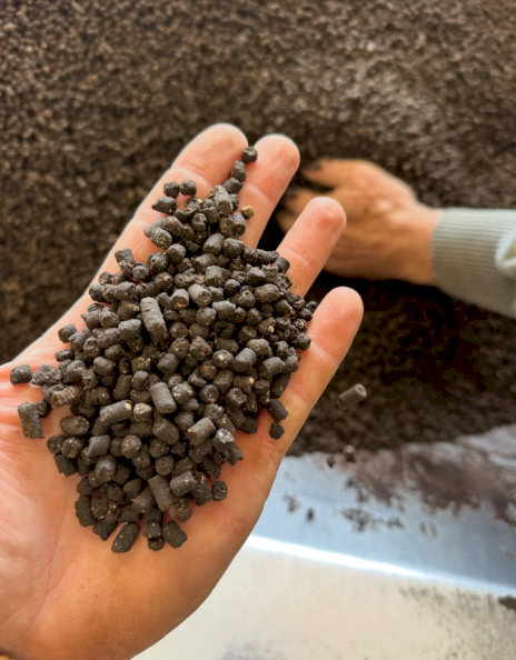 Composted Pelletised Chicken Manure