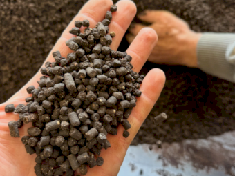 Composted Pelletised Chicken Manure